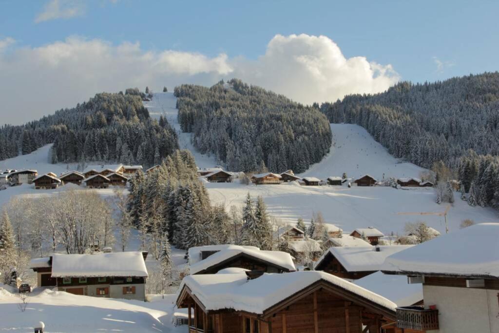 Bel App Aux Gets 10Mn Centre Ski Parking Tennis Prive Les Gets Exteriör bild